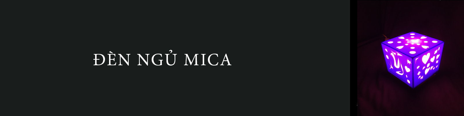 den-ngu-mica-30-11-2017-14-01-35.png